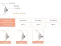 Diagram showing breast anatomy, nipple diameter to breastshield size chart, and illustrations of breastshield fit.