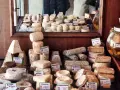 En ostdisk fylld med olika ostar, inklusive en "pecorino gravid" som ser ut att vara en del av ett större sortiment.