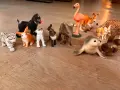 En samling schleich vilda djur leksaker på ett trägolv: tiger, apa, kanin, hundvalp, katt, elefant, flamingo, känguru, fennek, säl och en apa.