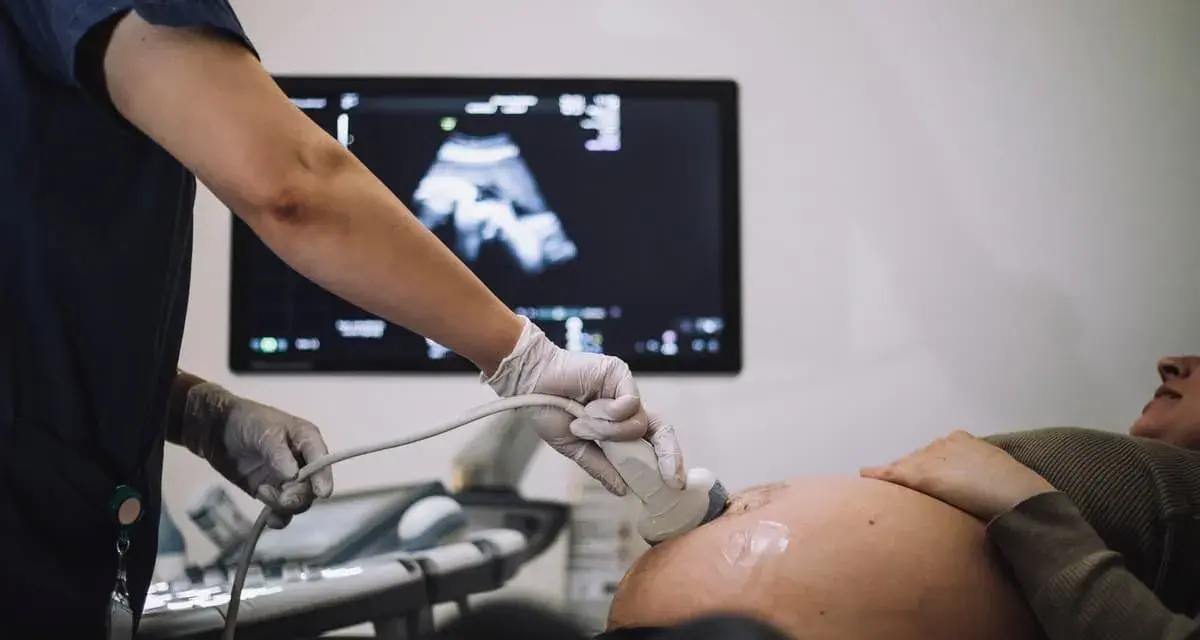 Gravid kvinna får ultraljud. Läkaren undersöker fostret, 18 veckor, på skärmen.