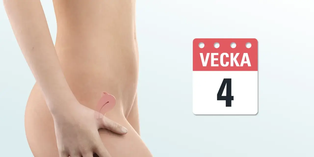 Gravid vecka 4 symptom familjeliv. En illustration visar en gravid livmoder och en kalender med siffran 4.