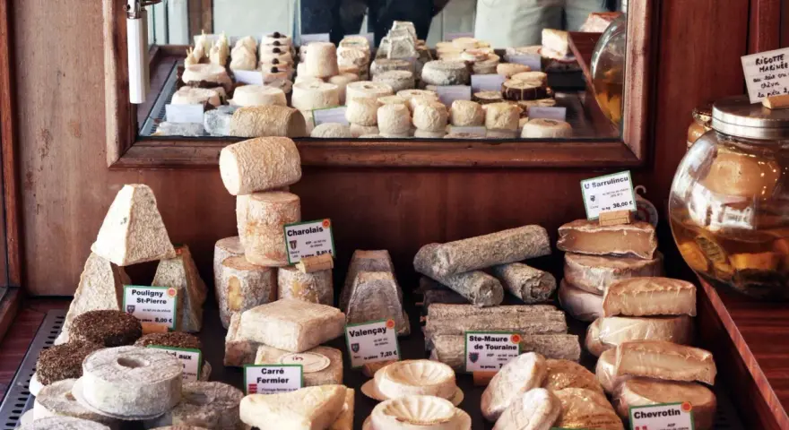 En ostdisk fylld med olika ostar, inklusive en "pecorino gravid" som ser ut att vara en del av ett större sortiment.