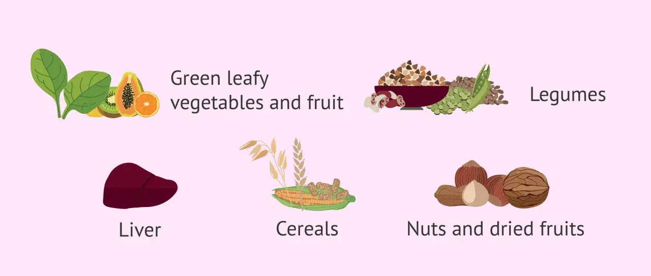 Livsmedel rika på vitaminer för en gravid kvinna: gröna bladgrönsaker, frukt, lever, baljväxter, spannmål, nötter och torkad frukt.